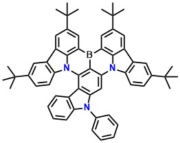 NBNP