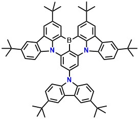 D1-BNN