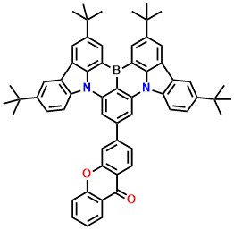 BN-XTO