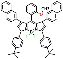 B3