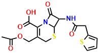 Cephalothin