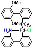 (SPhos Pd G2) Chloro(2-dicyclohexylphosphino-2',6'-dimethoxy-1,1'-biphenyl)[2-(2'-amino-1,1'-biphenyl)]palladium(II)