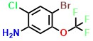 4-Bromo-2-chloro-5-(trifluoromethoxy)aniline