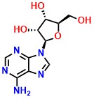 (2R,3R,4S,5R)-2-(6-Amino-9H-purin-9-yl)-5-(hydroxymethyl)tetrahydrofuran-3,4-diol