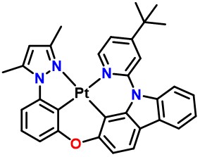 PtON1-tBu