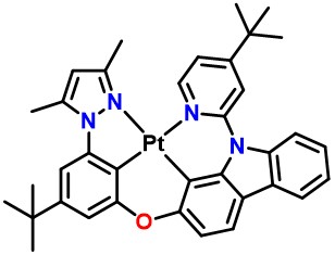 PtON1-dtb