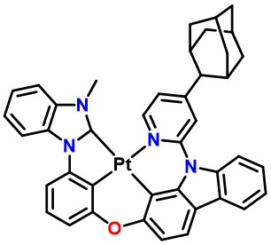 Pt-Ada