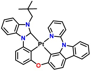 Pt-NPT